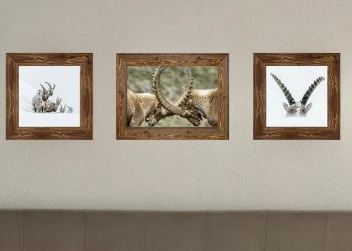 Apartamento Alpina *